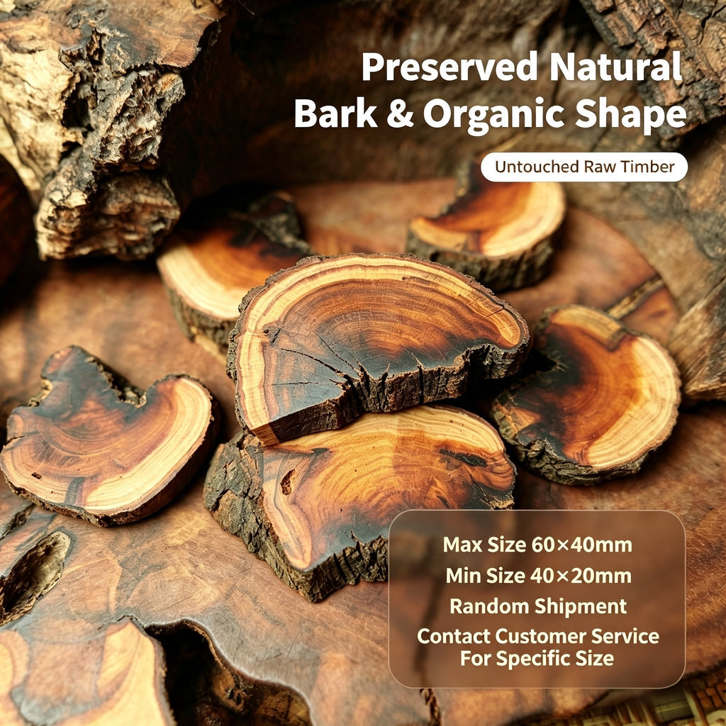 Natural Lightning-Struck Jujube Wood DIY Accessories | Fortideal