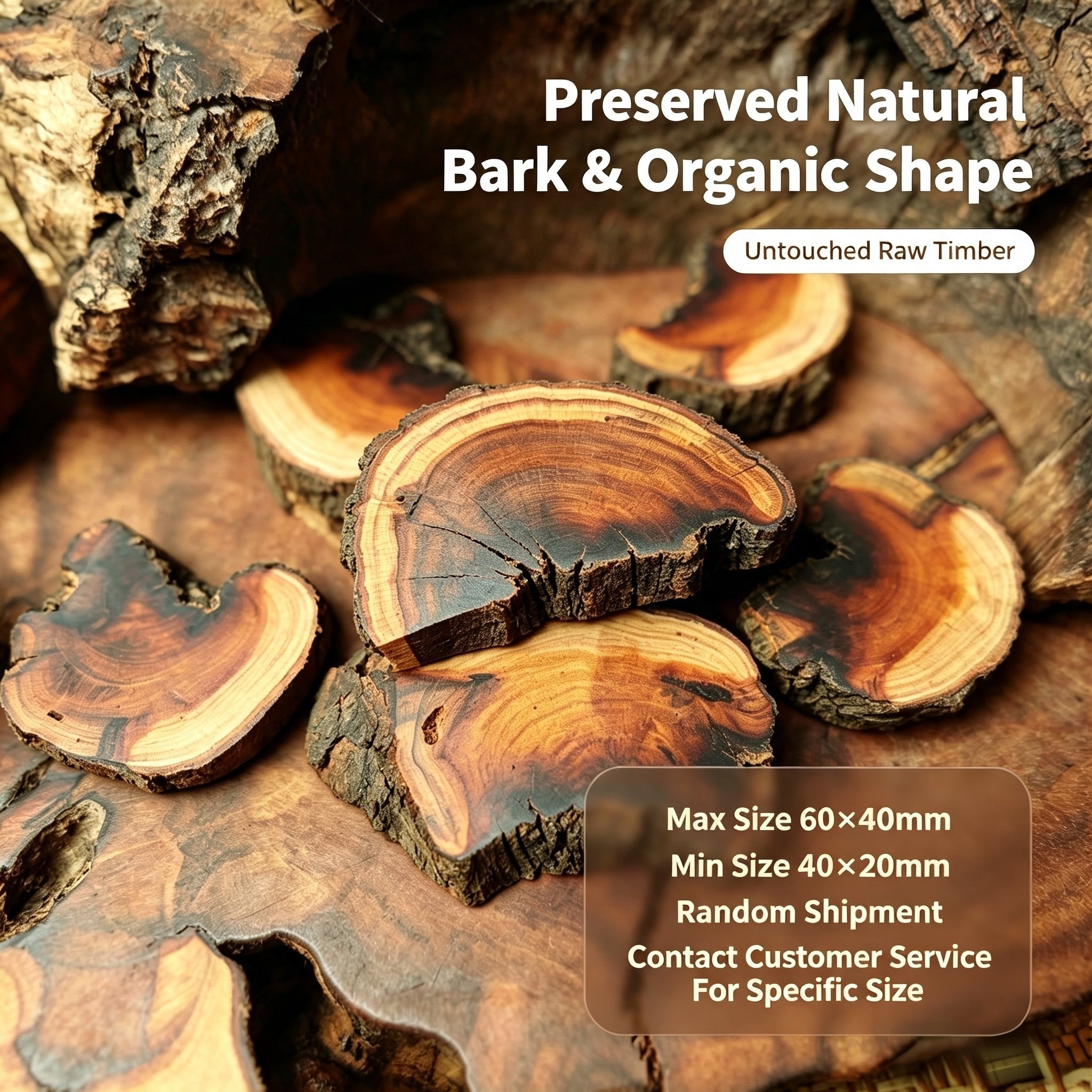 Natural Lightning-Struck Jujube Wood DIY Accessories | Fortideal