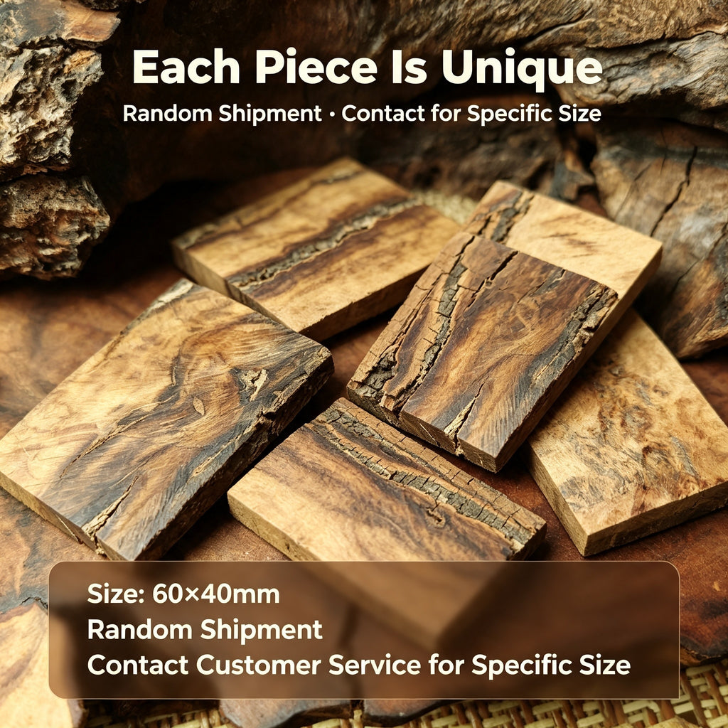 Natural Lightning-Struck Jujube Wood Blank Planks 60×40mm | Fortideal